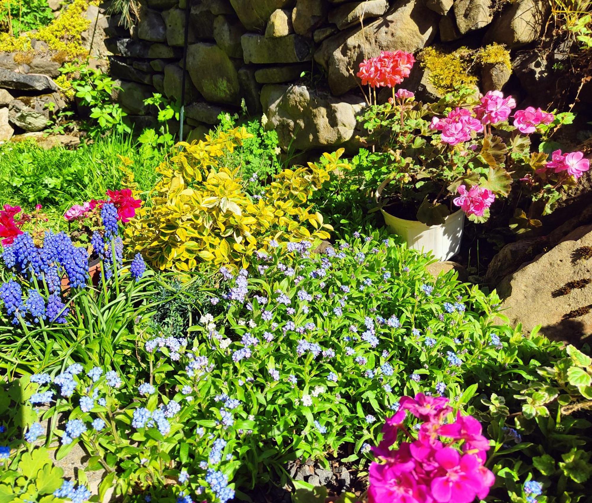 Bed And Breakfast Tvrz Velká Bukovina Dış mekan fotoğraf