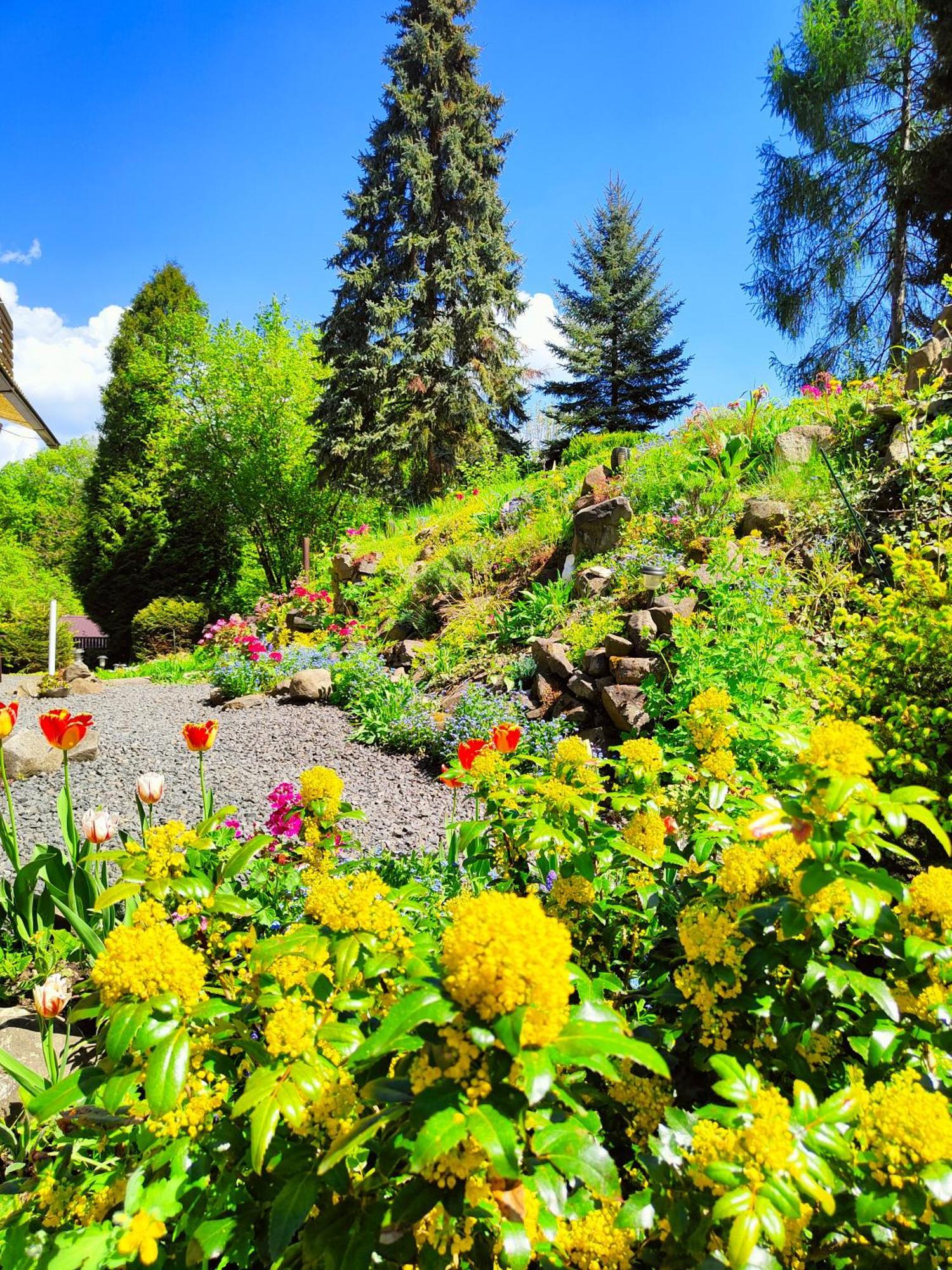 Bed And Breakfast Tvrz Velká Bukovina Dış mekan fotoğraf