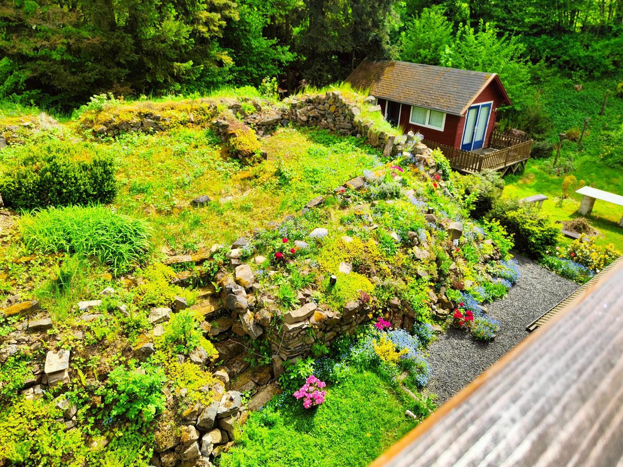 Bed And Breakfast Tvrz Velká Bukovina Dış mekan fotoğraf