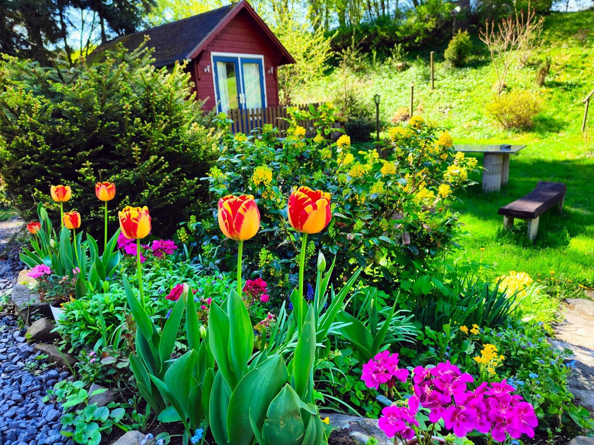 Bed And Breakfast Tvrz Velká Bukovina Dış mekan fotoğraf