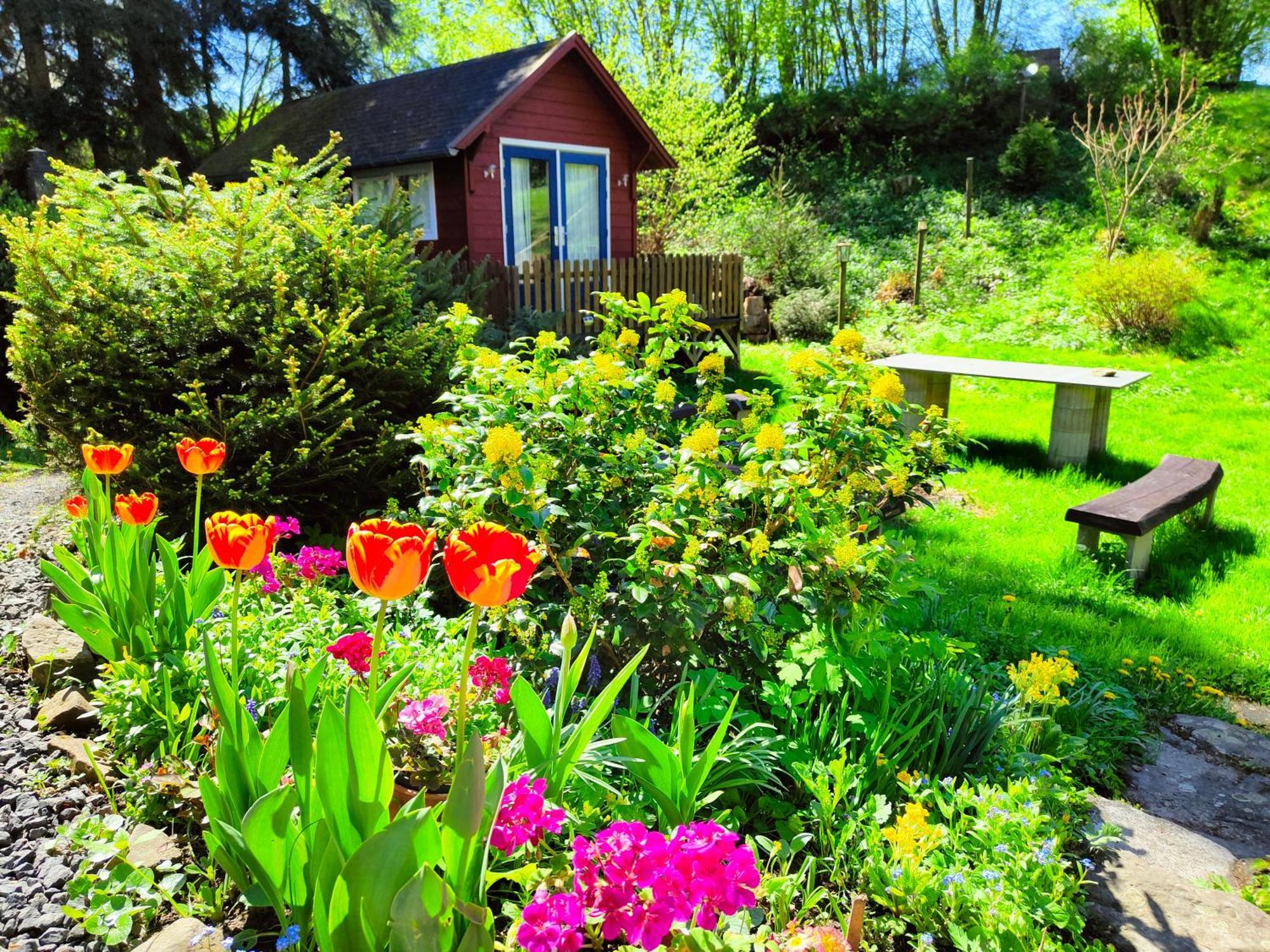 Bed And Breakfast Tvrz Velká Bukovina Dış mekan fotoğraf
